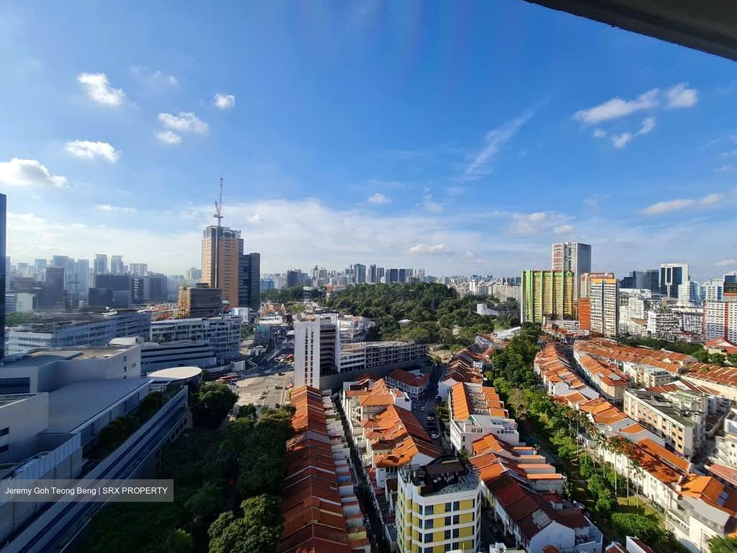Blk 1A The Pinnacle@Duxton (Bukit Merah), HDB 4 Rooms #594905271